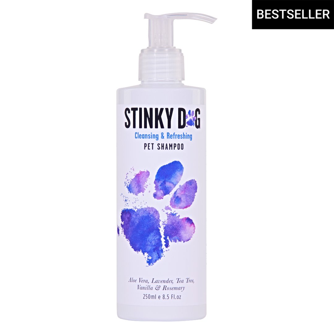 Best shampoo for stinky dogs hotsell